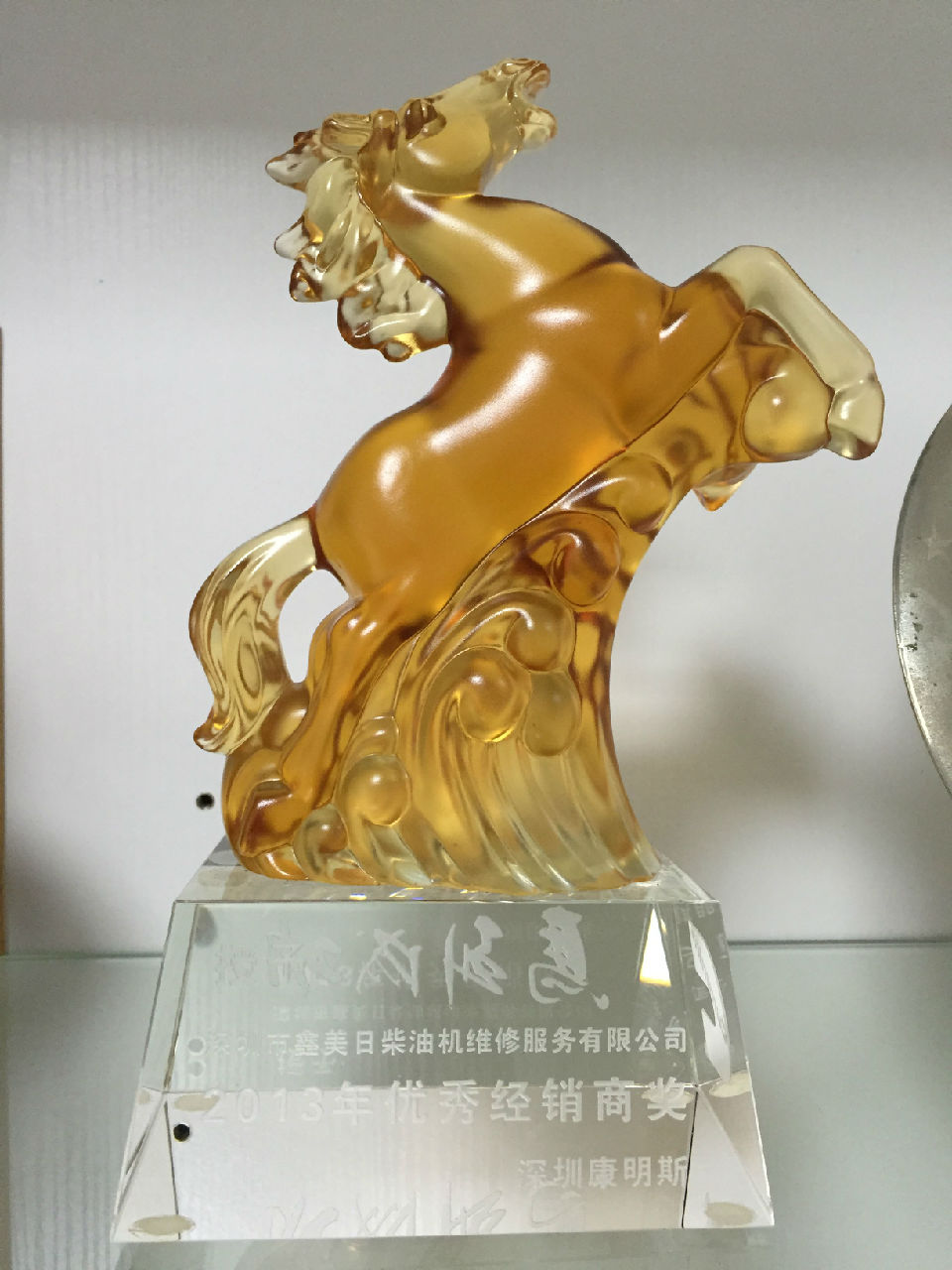 2013年年度優(yōu)秀經(jīng)銷(xiāo)商獎_c